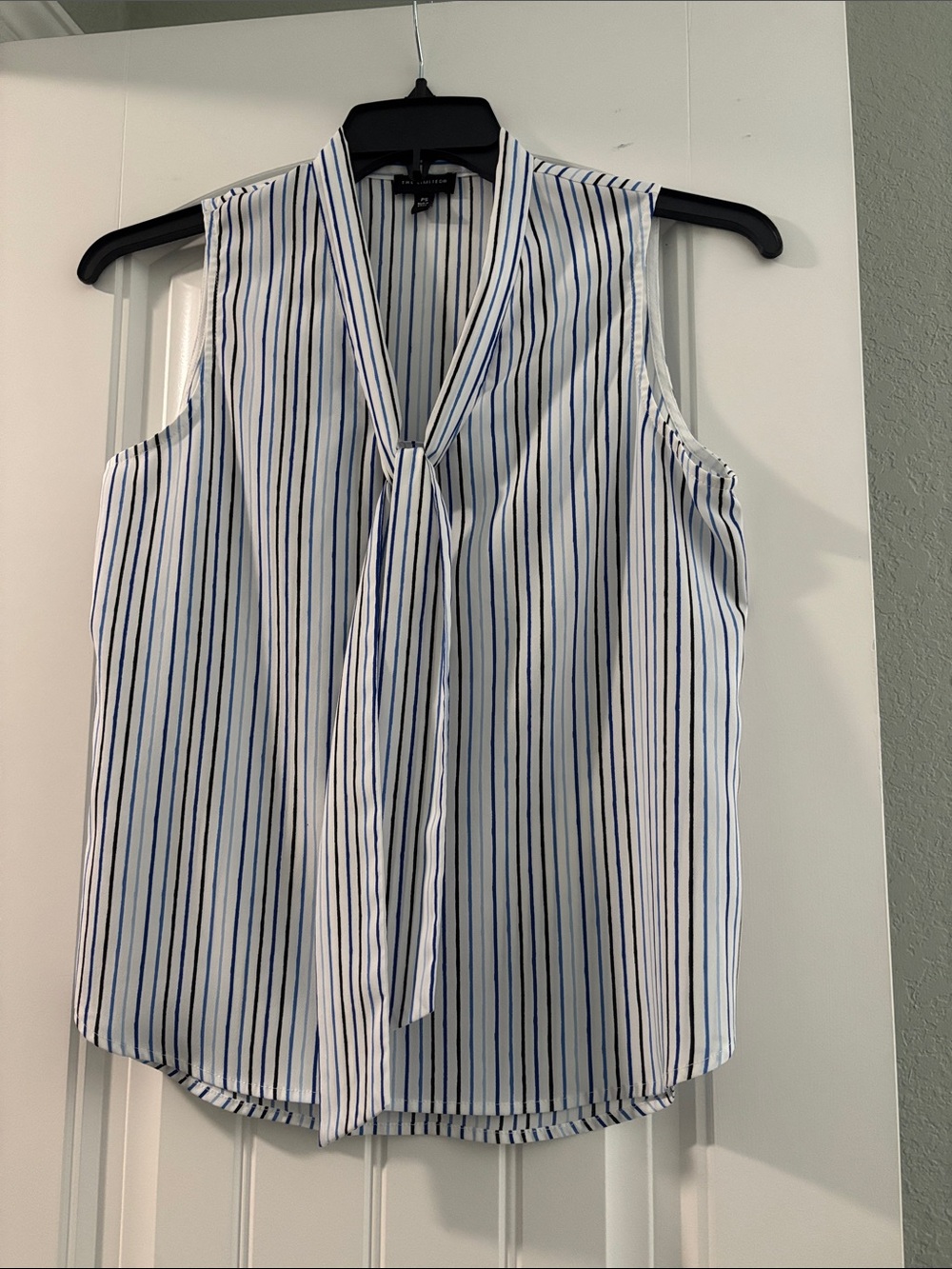 The Limited Sleeveless Tie-Neck Striped Blouse - White & Blue